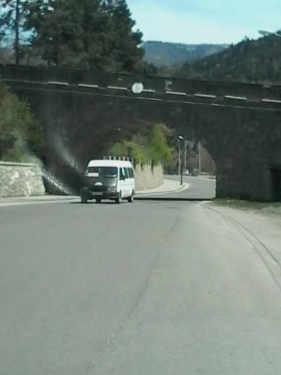 Guest House Tengiz Borjomi Rum bild